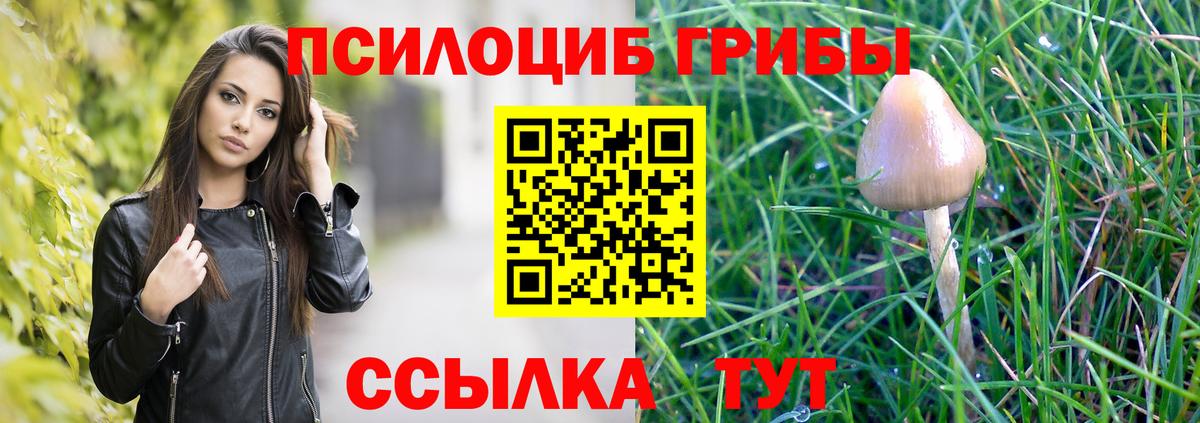 Псилоцибиновые грибы прущие грибы  цены наркотик  Искитим  Вход с VPN 
