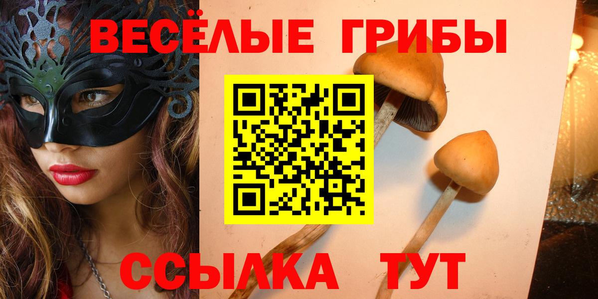 Псилоцибиновые грибы мицелий Искитим